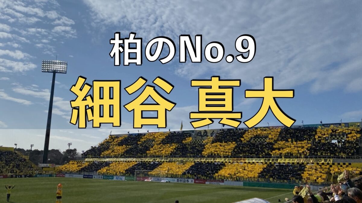柏レイソルの試合の写真