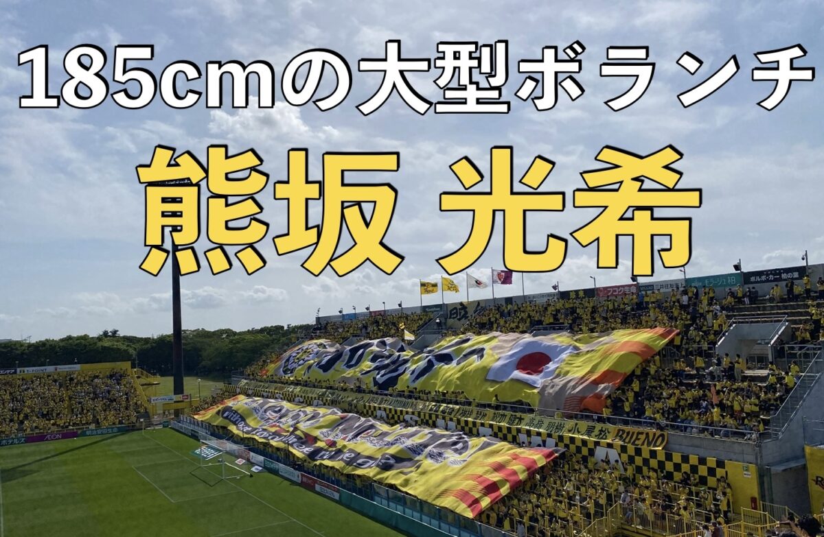 柏レイソルの試合の写真