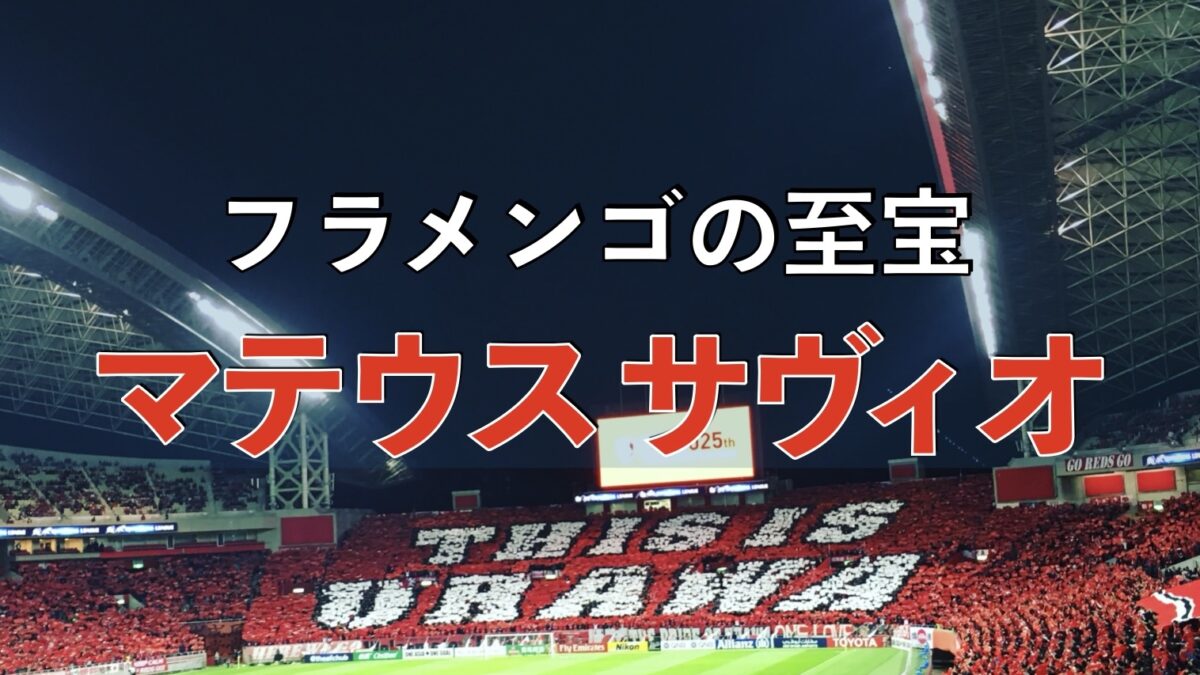 浦和レッズの試合の写真