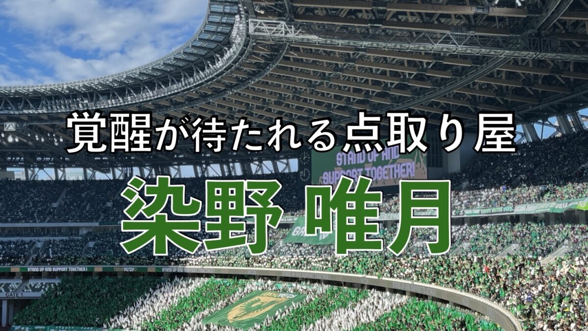 東京ヴェルディの試合の写真