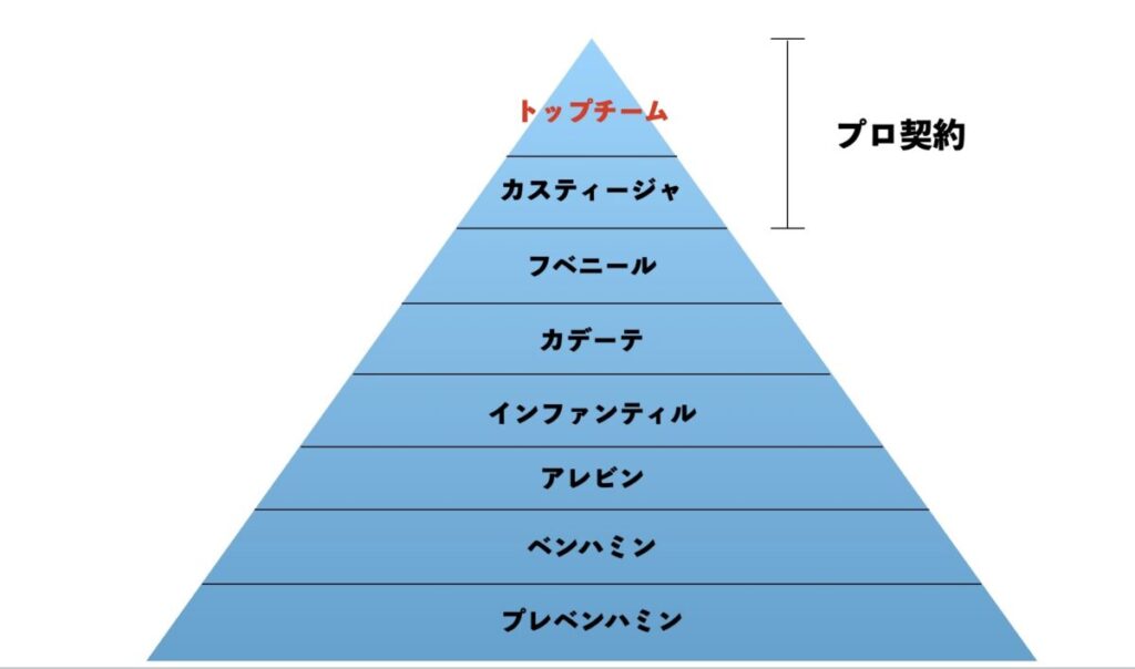 カンテラの組織図