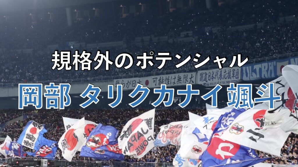 サッカー日本代表の試合の写真