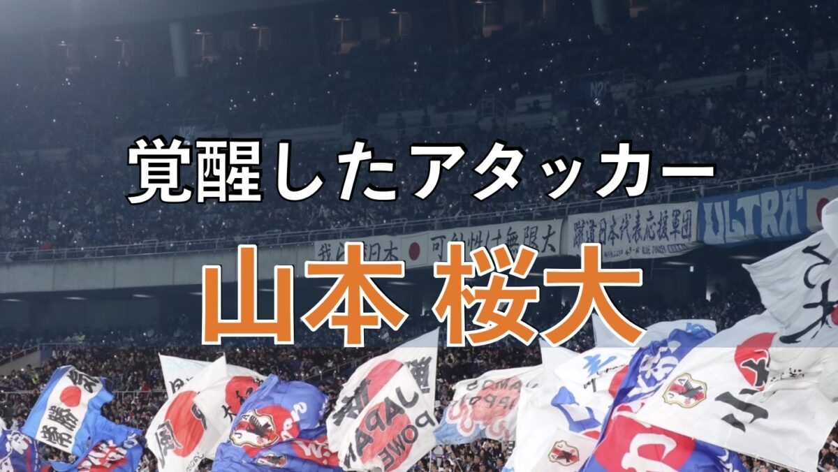 サッカー日本代表の試合の写真