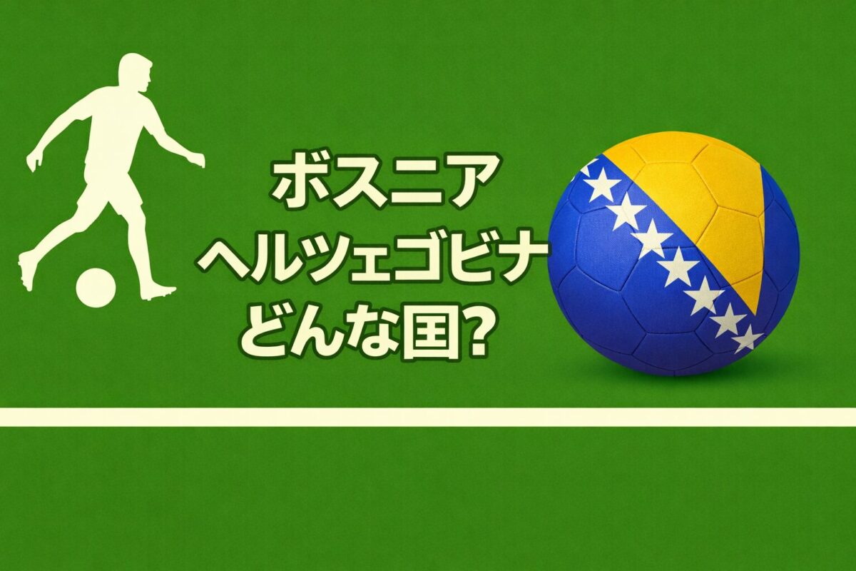 ボスニアヘルツェゴビナの国旗の画像